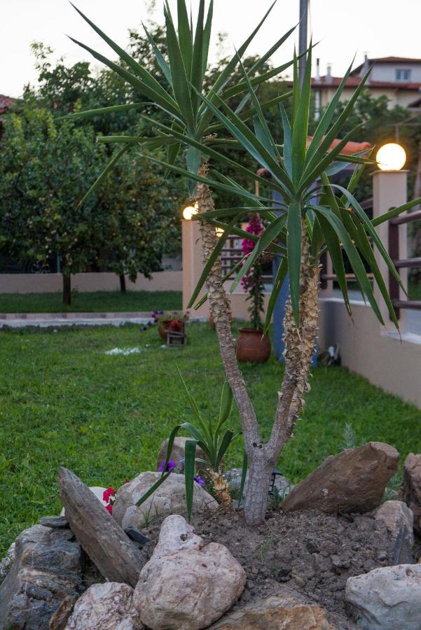 Roxani'S Apartments Ayios Nikolaos Bagian luar foto
